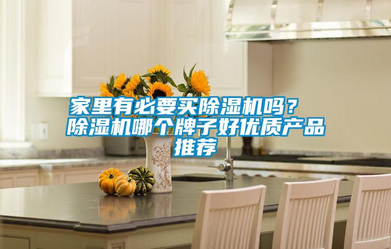 家里有必要買除濕機嗎？ 除濕機哪個牌子好優(yōu)質(zhì)產(chǎn)品推薦