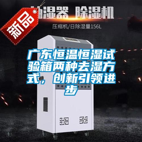廣東恒溫恒濕試驗(yàn)箱兩種去濕方式，創(chuàng)新引領(lǐng)進(jìn)步