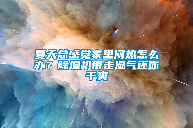 夏天總感覺家里悶熱怎么辦？除濕機帶走濕氣還你干爽