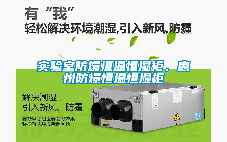 實驗室防爆恒溫恒濕柜，惠州防爆恒溫恒濕柜