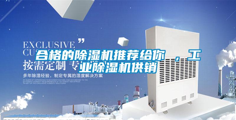 合格的除濕機(jī)推薦給你 ，工業(yè)除濕機(jī)供銷
