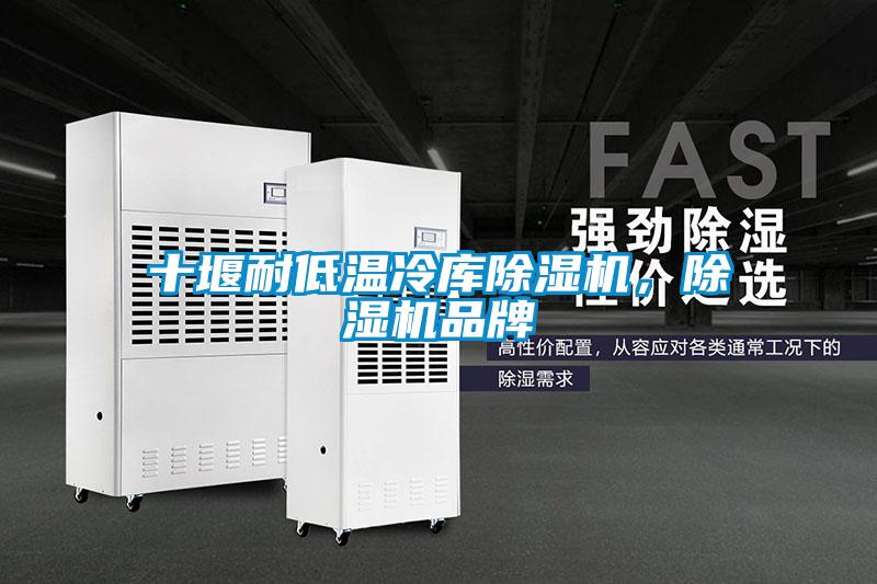 十堰耐低溫冷庫除濕機，除濕機品牌
