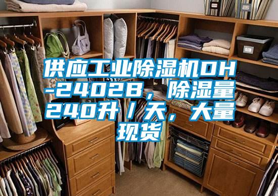 供應(yīng)工業(yè)除濕機(jī)DH-2402B，除濕量240升／天，大量現(xiàn)貨