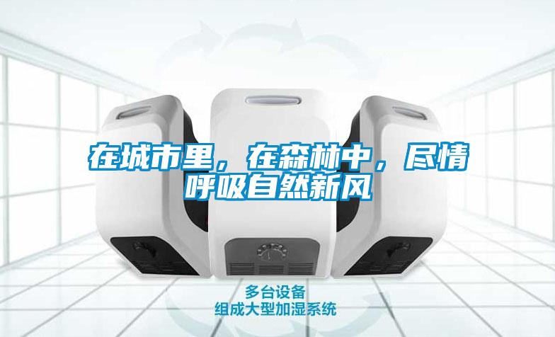 在城市里，在森林中，盡情呼吸自然新風(fēng)
