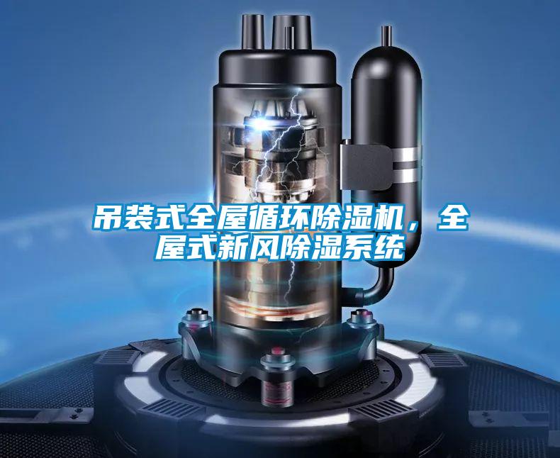 吊裝式全屋循環(huán)除濕機(jī)，全屋式新風(fēng)除濕系統(tǒng)