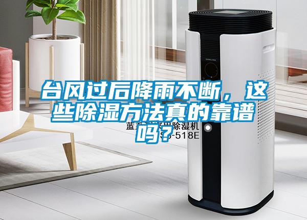 臺(tái)風(fēng)過(guò)后降雨不斷，這些除濕方法真的靠譜嗎？
