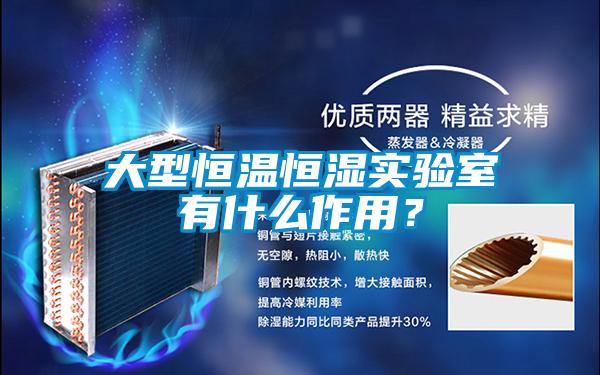 大型恒溫恒濕實驗室有什么作用？