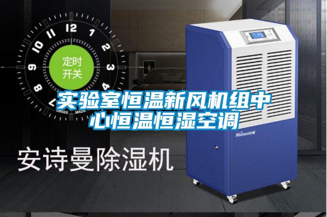 實驗室恒溫新風機組中心恒溫恒濕空調(diào)