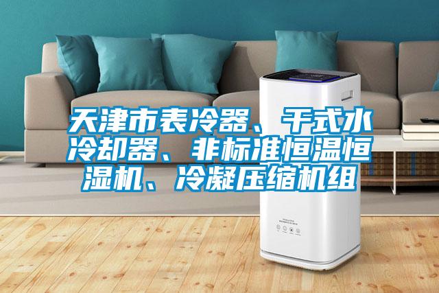 天津市表冷器、干式水冷卻器、非標(biāo)準(zhǔn)恒溫恒濕機(jī)、冷凝壓縮機(jī)組