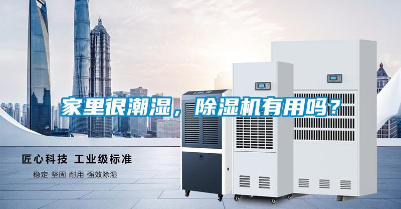 家里很潮濕，除濕機有用嗎？