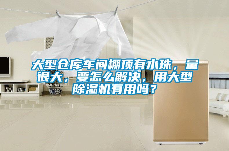 大型倉(cāng)庫(kù)車間棚頂有水珠，量很大，要怎么解決，用大型除濕機(jī)有用嗎？