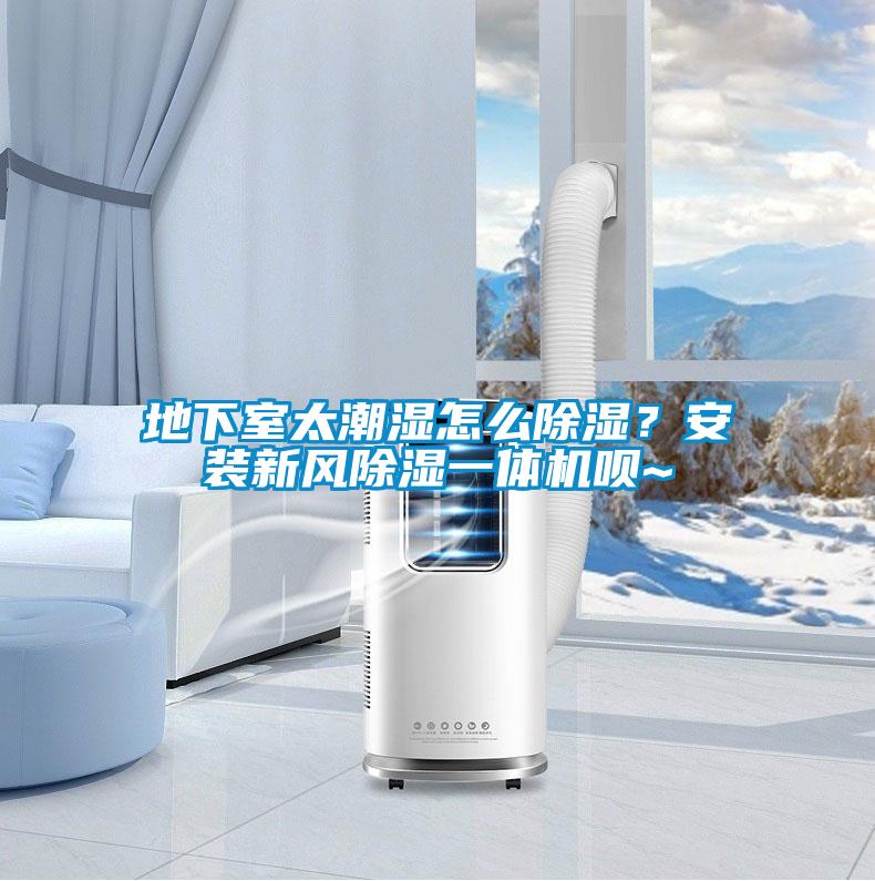 地下室太潮濕怎么除濕？安裝新風(fēng)除濕一體機(jī)唄~