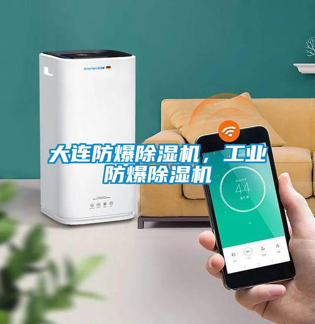 大連防爆除濕機(jī)，工業(yè)防爆除濕機(jī)