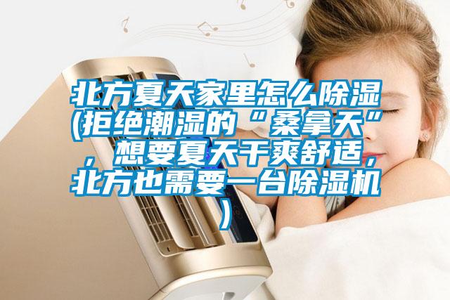 北方夏天家里怎么除濕(拒絕潮濕的“桑拿天”，想要夏天干爽舒適，北方也需要一臺除濕機)