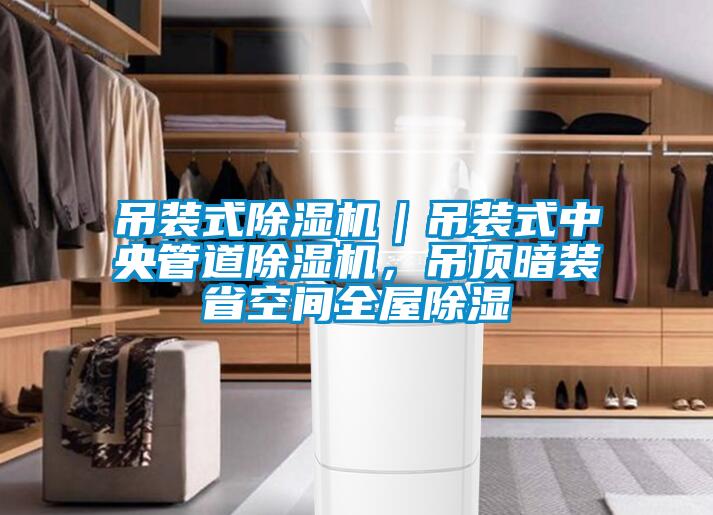 吊裝式除濕機(jī)｜吊裝式中央管道除濕機(jī)，吊頂暗裝省空間全屋除濕