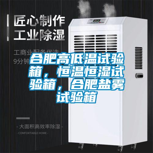 合肥高低溫試驗(yàn)箱，恒溫恒濕試驗(yàn)箱，合肥鹽霧試驗(yàn)箱