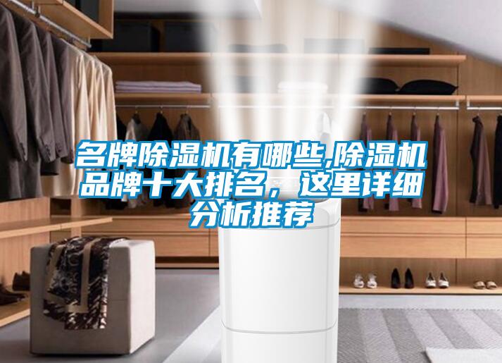 名牌除濕機(jī)有哪些,除濕機(jī)品牌十大排名，這里詳細(xì)分析推薦