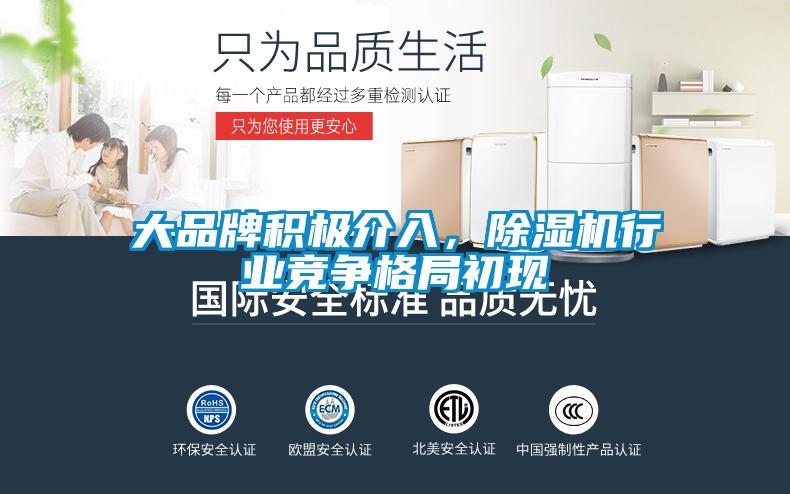 大品牌積極介入，除濕機(jī)行業(yè)競爭格局初現(xiàn)
