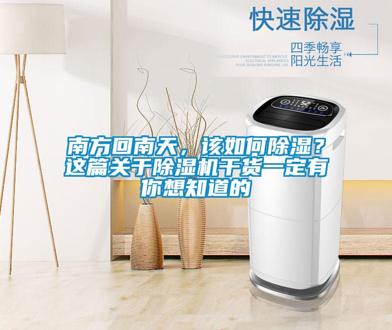 南方回南天，該如何除濕？這篇關(guān)于除濕機(jī)干貨一定有你想知道的