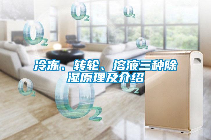 冷凍、轉(zhuǎn)輪、溶液三種除濕原理及介紹