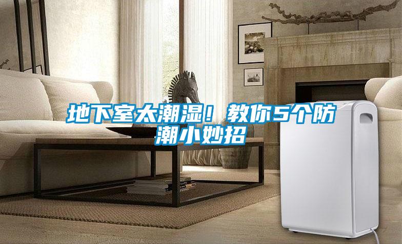 地下室太潮濕！教你5個(gè)防潮小妙招