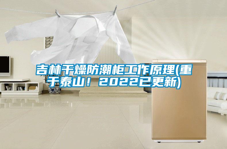 吉林干燥防潮柜工作原理(重于泰山！2022已更新)
