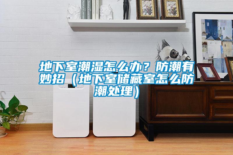 地下室潮濕怎么辦？防潮有妙招（地下室儲(chǔ)藏室怎么防潮處理）