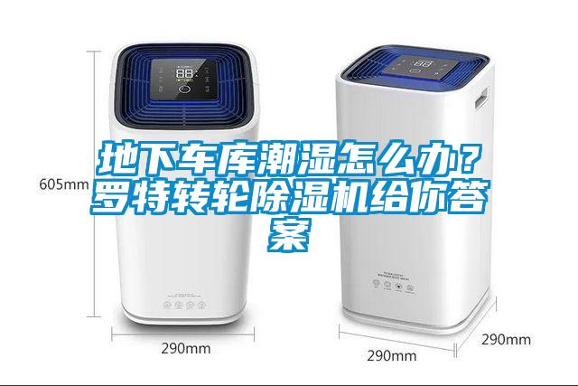 地下車庫潮濕怎么辦？羅特轉(zhuǎn)輪除濕機給你答案