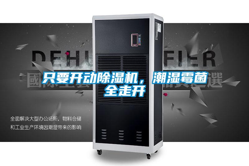 只要開動除濕機(jī)，潮濕霉菌全走開