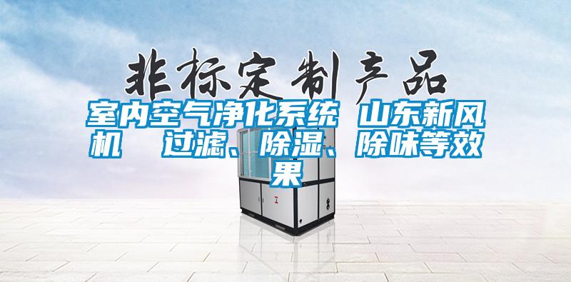 室內(nèi)空氣凈化系統(tǒng) 山東新風(fēng)機(jī)  過濾、除濕、除味等效果