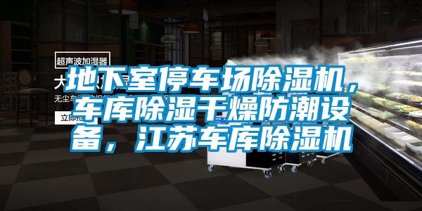 地下室停車場(chǎng)除濕機(jī)，車庫(kù)除濕干燥防潮設(shè)備，江蘇車庫(kù)除濕機(jī)
