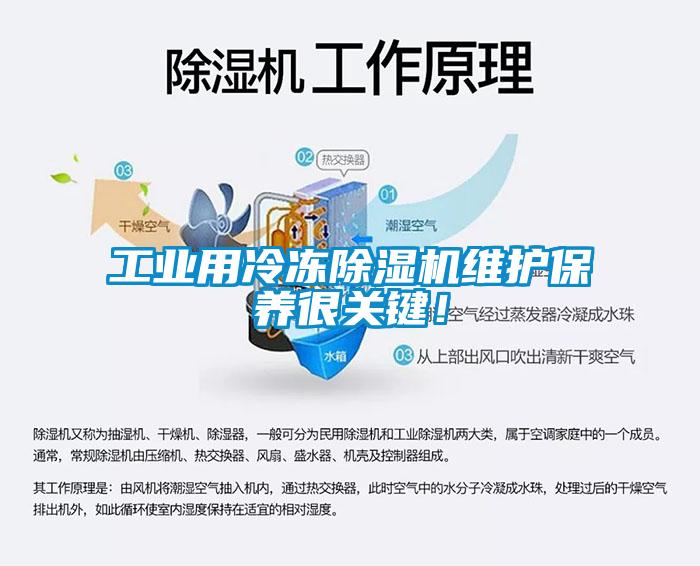 工業(yè)用冷凍除濕機(jī)維護(hù)保養(yǎng)很關(guān)鍵！