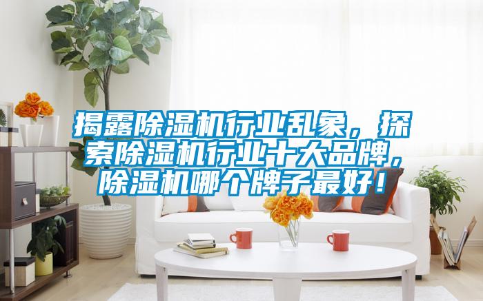 揭露除濕機(jī)行業(yè)亂象，探索除濕機(jī)行業(yè)十大品牌，除濕機(jī)哪個牌子最好！