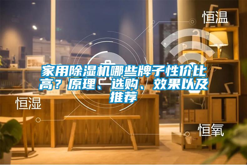 家用除濕機(jī)哪些牌子性價(jià)比高？原理、選購、效果以及推薦