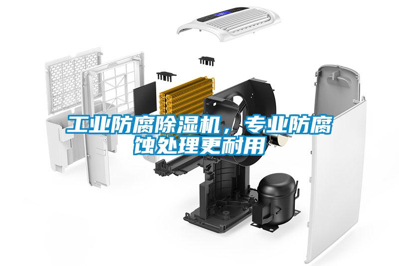 工業(yè)防腐除濕機，專業(yè)防腐蝕處理更耐用