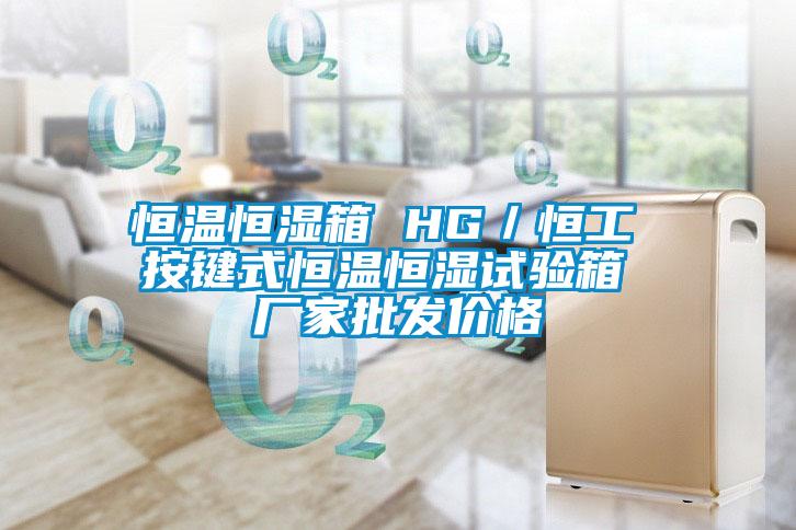 恒溫恒濕箱 HG／恒工 按鍵式恒溫恒濕試驗(yàn)箱 廠家批發(fā)價格