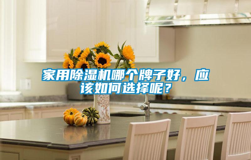 家用除濕機哪個牌子好，應該如何選擇呢？