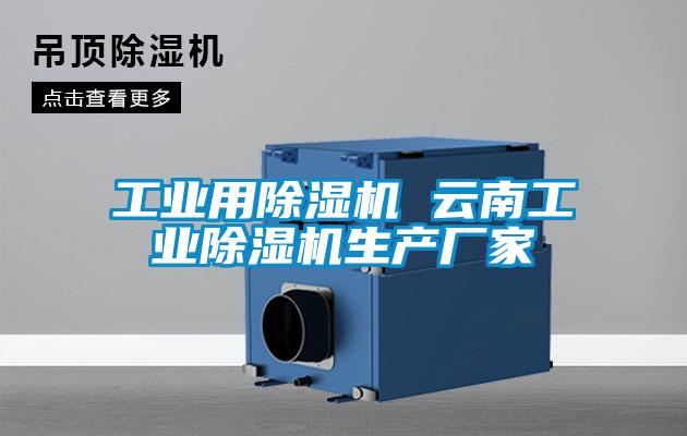 工業(yè)用除濕機(jī) 云南工業(yè)除濕機(jī)生產(chǎn)廠(chǎng)家