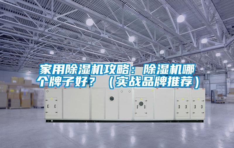 家用除濕機(jī)攻略：除濕機(jī)哪個(gè)牌子好？（實(shí)戰(zhàn)品牌推薦）