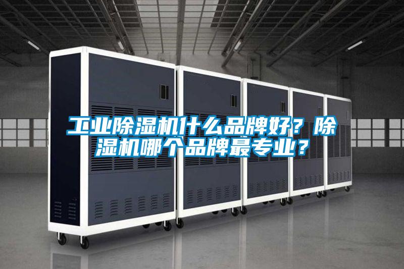 工業(yè)除濕機什么品牌好？除濕機哪個品牌最專業(yè)？