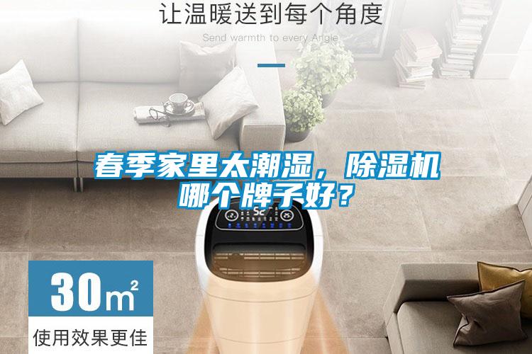 春季家里太潮濕，除濕機(jī)哪個牌子好？