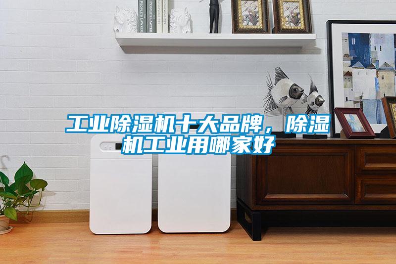 工業(yè)除濕機(jī)十大品牌，除濕機(jī)工業(yè)用哪家好