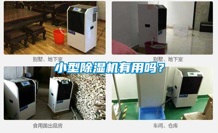 小型除濕機有用嗎？