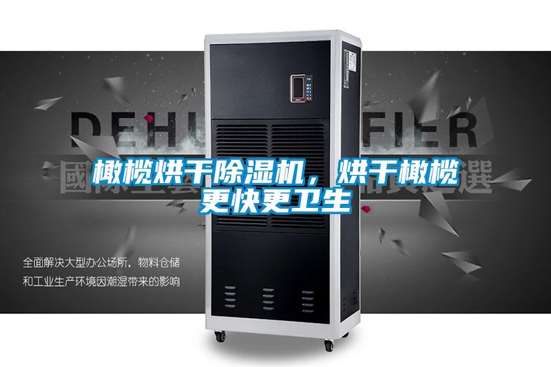 橄欖烘干除濕機(jī)，烘干橄欖更快更衛(wèi)生