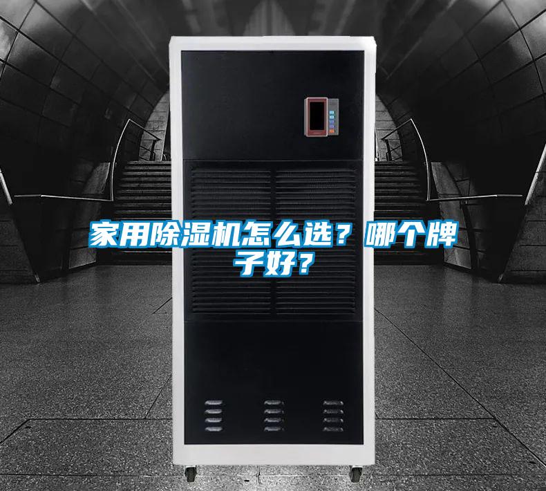 家用除濕機(jī)怎么選？哪個(gè)牌子好？
