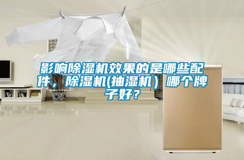 影響除濕機效果的是哪些配件，除濕機(抽濕機）哪個牌子好？