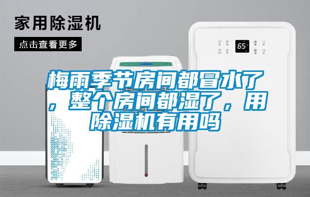 梅雨季節(jié)房間都冒水了，整個(gè)房間都濕了，用除濕機(jī)有用嗎