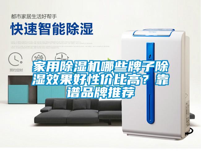 家用除濕機哪些牌子除濕效果好性價比高？靠譜品牌推薦