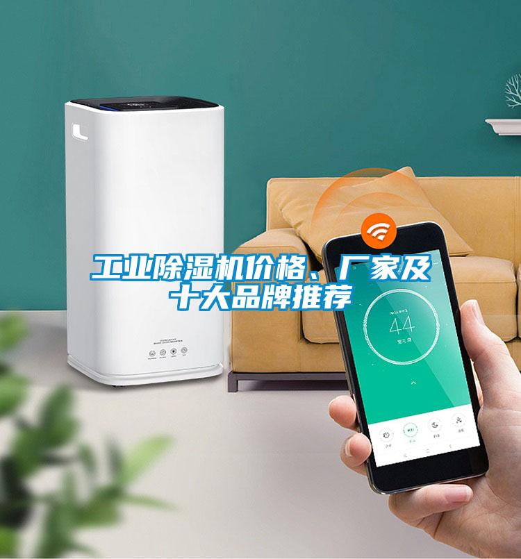 工業(yè)除濕機(jī)價(jià)格、廠家及十大品牌推薦