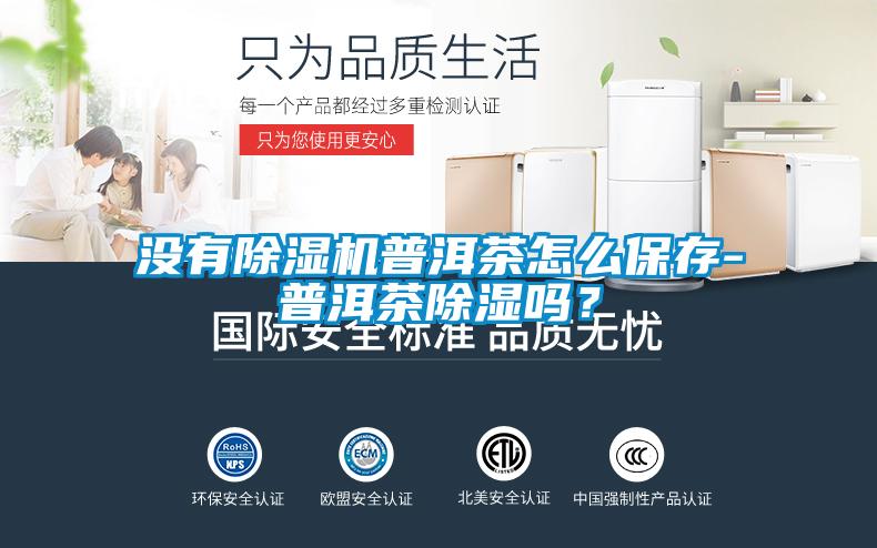 沒有除濕機普洱茶怎么保存-普洱茶除濕嗎？
